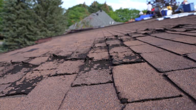 Best Roof Coating and Sealing  in Richwood, OH